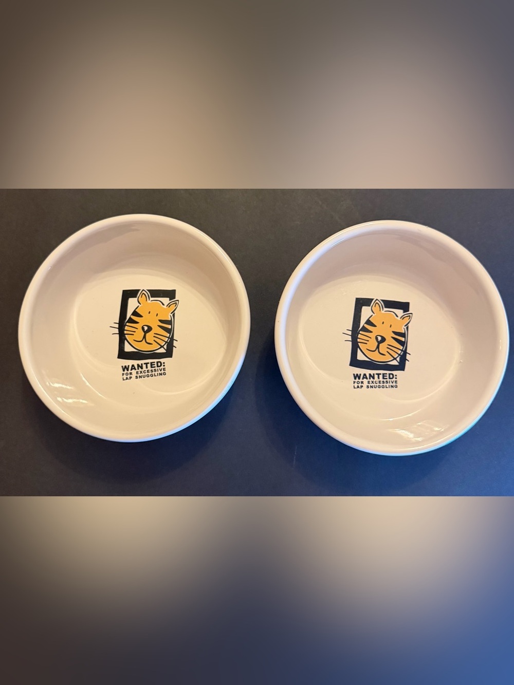 Mug Shots Wanted Stoneware Food Water Cat Bowls By Signature funny pet lowers